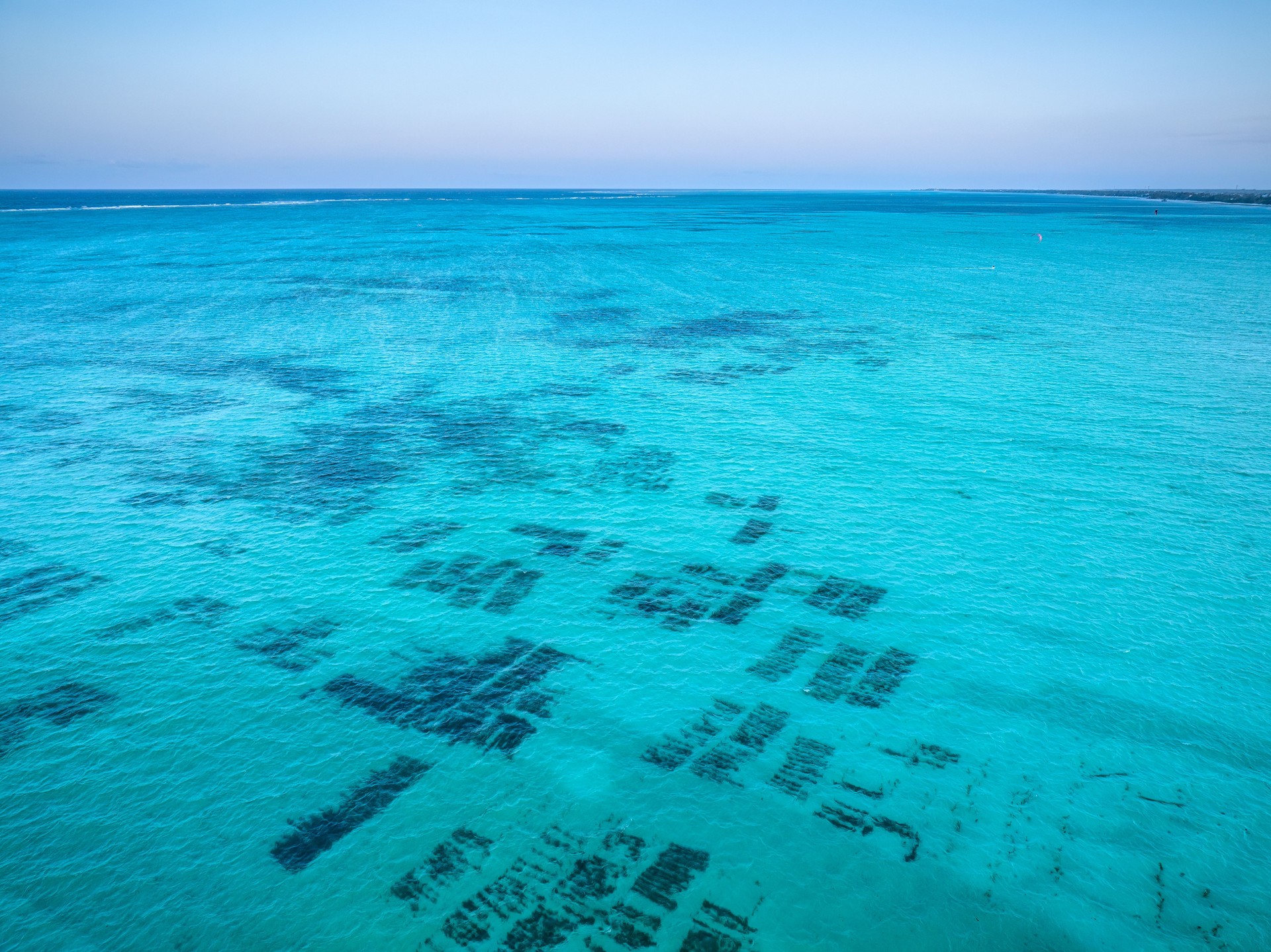 Aerial panorama revealing lush seaweed cultivation spreading across turquoise Zanzibar waters, distant kitesurfer silhouetted against golden sunset horizon
